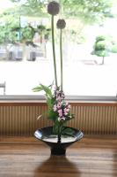中庭を背景とした生け花作品