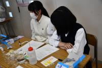 活動の様子
